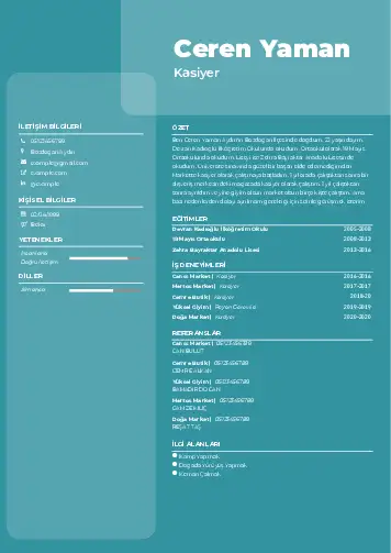 Kasiyer cv indir